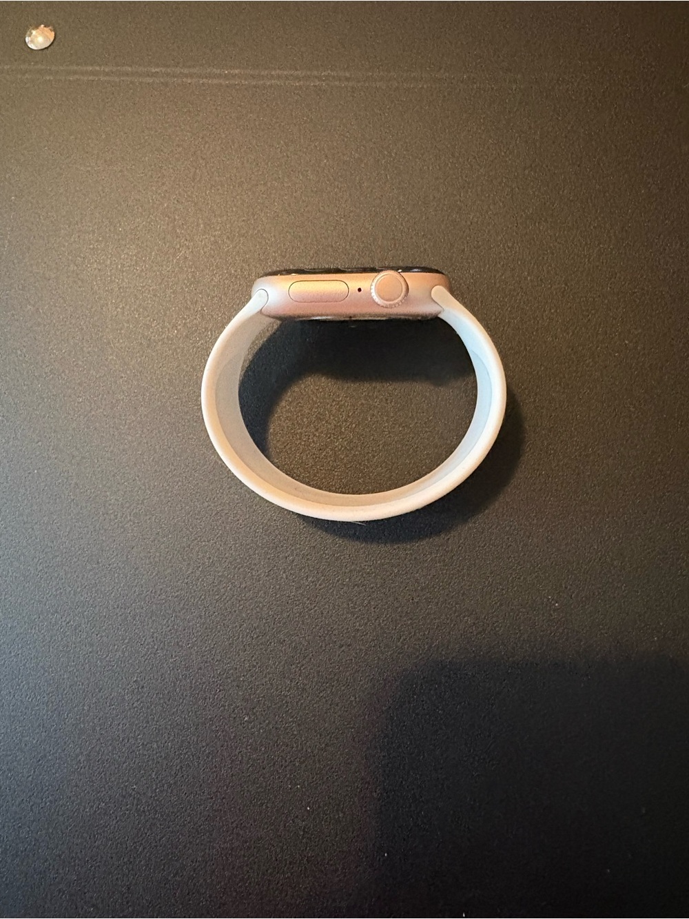 Apple Solo Loop BAND ONLY.